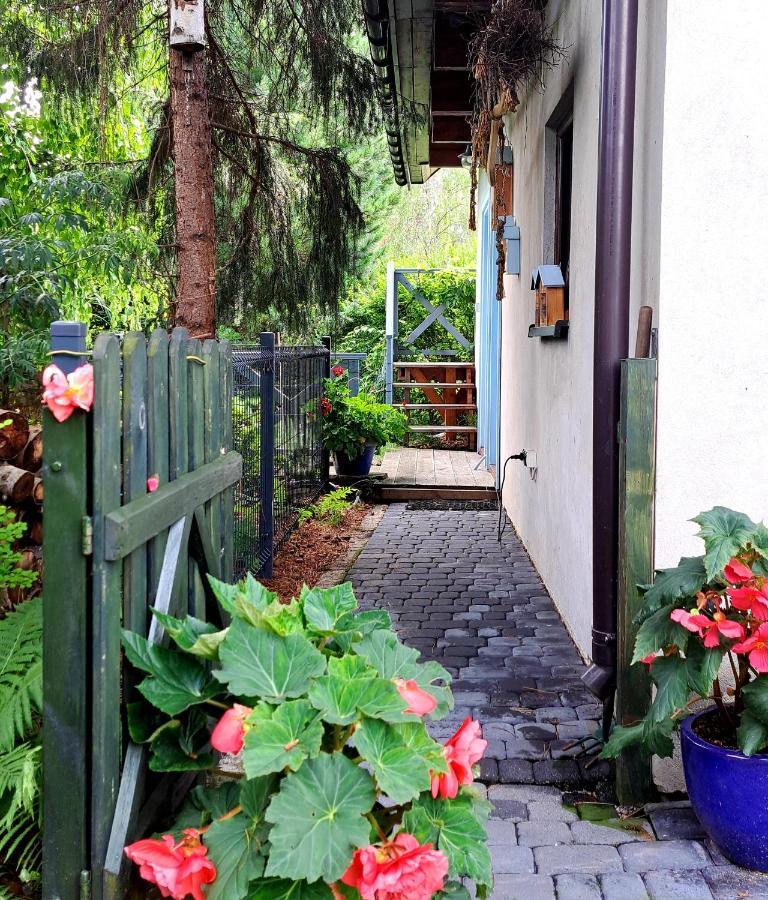 Apartament Drozdzikowka Żywiec Buitenkant foto