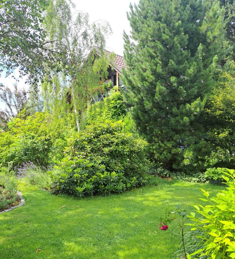 Apartament Drozdzikowka Żywiec Buitenkant foto