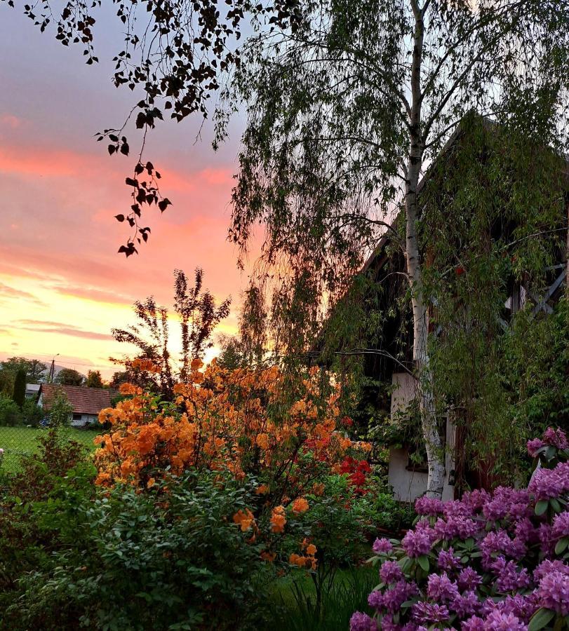 Apartament Drozdzikowka Żywiec Buitenkant foto