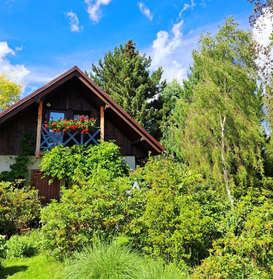 Apartament Drozdzikowka Żywiec Buitenkant foto
